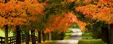 Paris, Kentucky