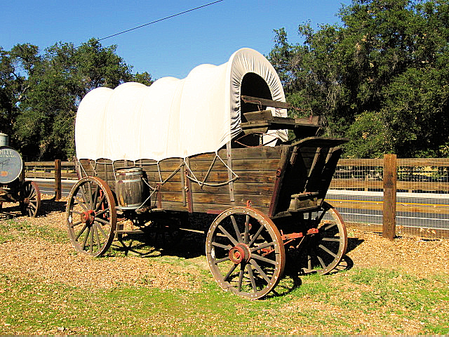 Conesta Wagon